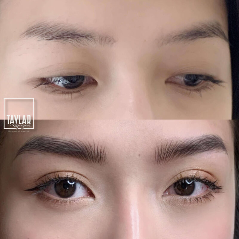 Giai đoạn lên màu