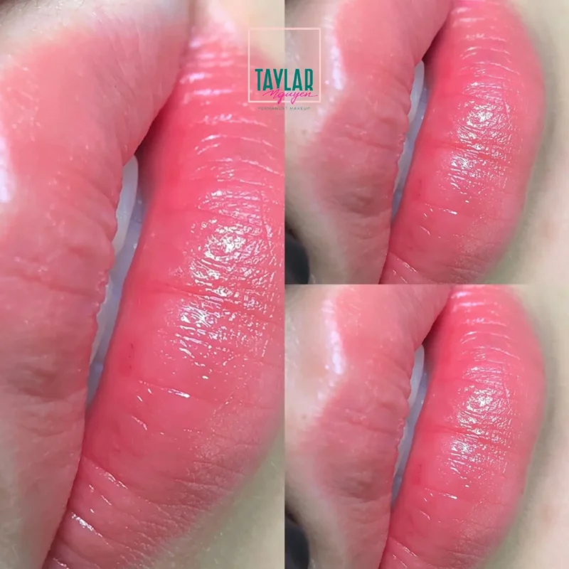 Quy trình phun môi sinh học tại Taylar Nguyen