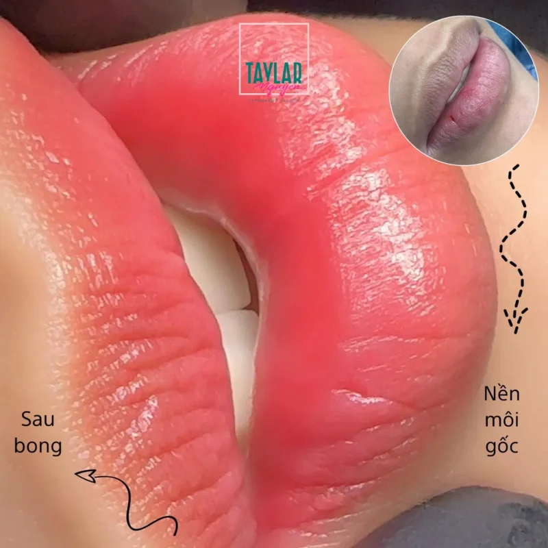 Phun môi Collagen phủ bóng an toàn và hiệu quả