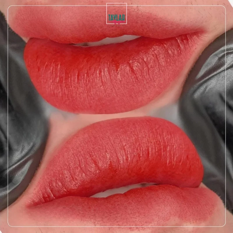 Bảng màu xăm môi đẹp cho da ngăm